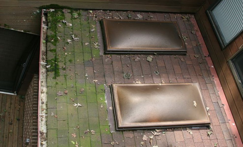 moss damaged roof skylight