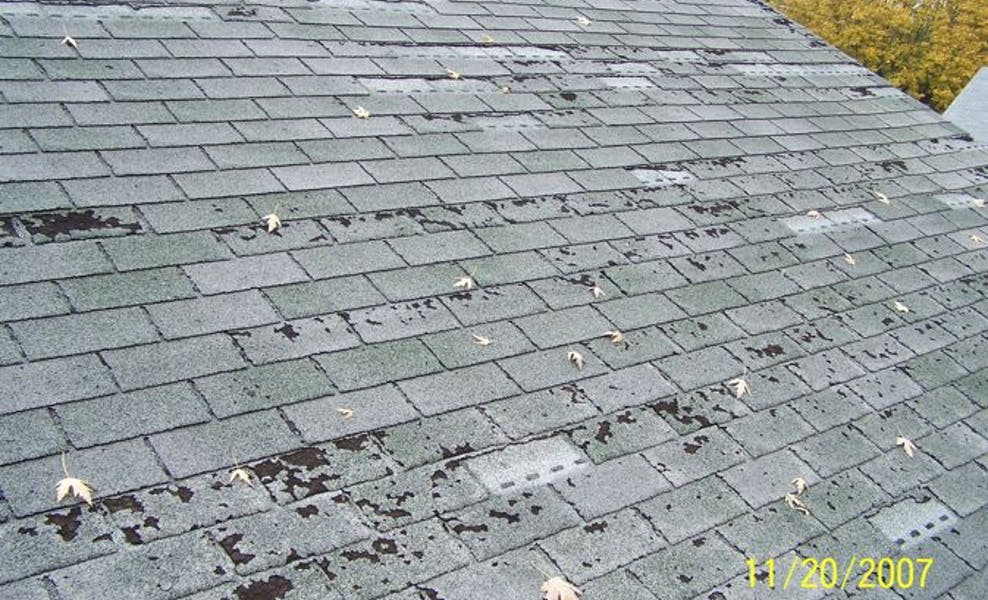 growth on roofing shingles that is overgrown