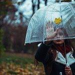 Why does a roof vent pipe leak? woman with umbrella looking back at house