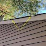 storm damage tree branch