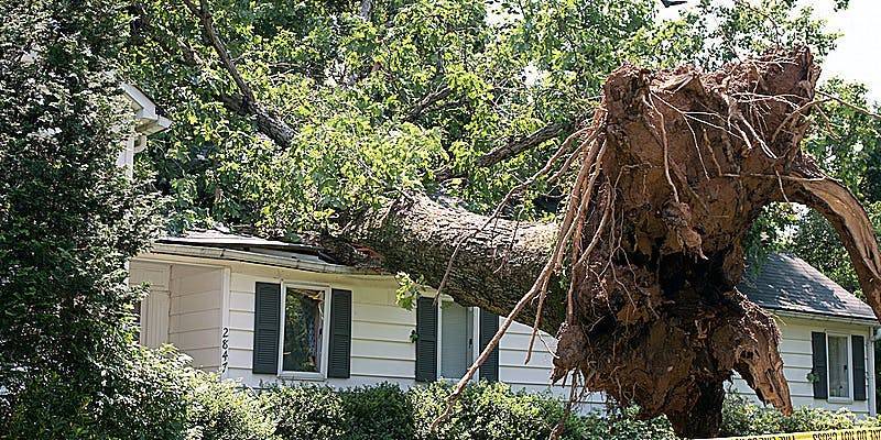 Maryland storm damage tree fallen roof repairs