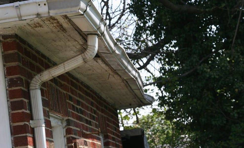 gutters and fascia that are warped and need repairs from tree damage